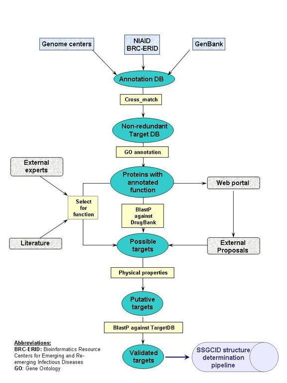 Target selection workflow