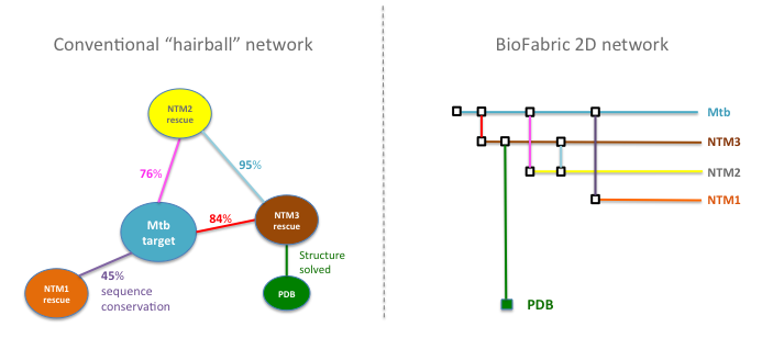 2D Network Principles