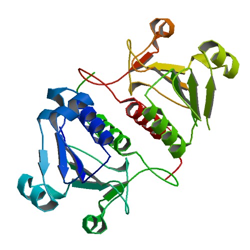 Cartoon representation of 3e5y structure