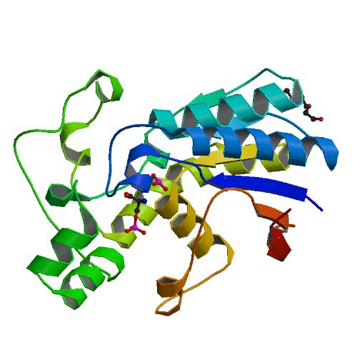 Cartoon representation of PGAM structure