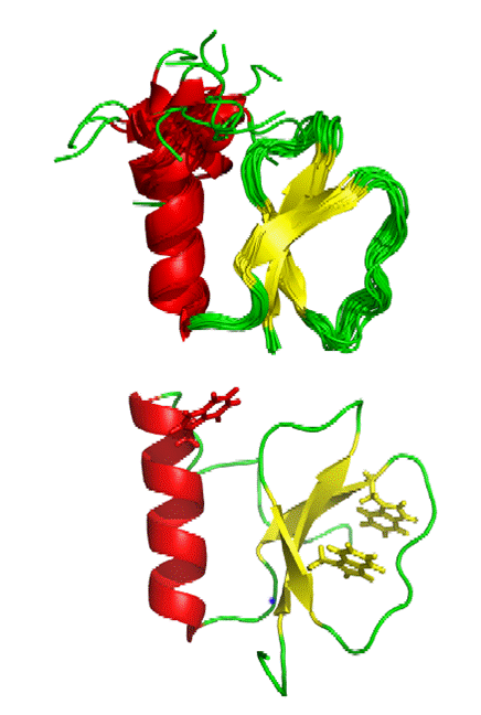 Cartoon representation of Rv2377c structure
