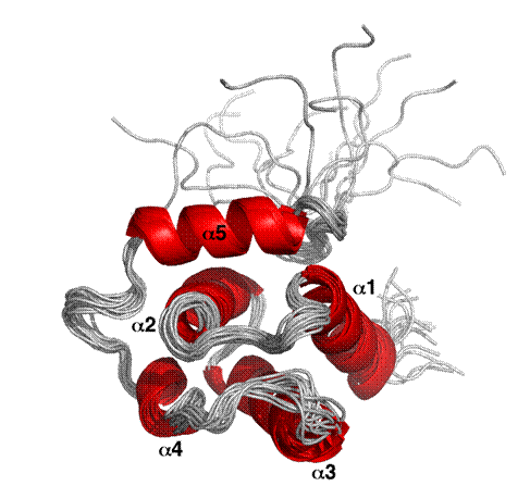 Cartoon representation of DUF3349 structure