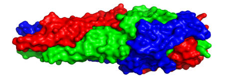 Cartoon representation of xadA structure