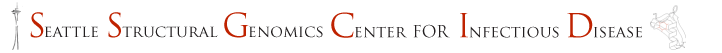Seattle Structural Genomics Center for Infectious Disease